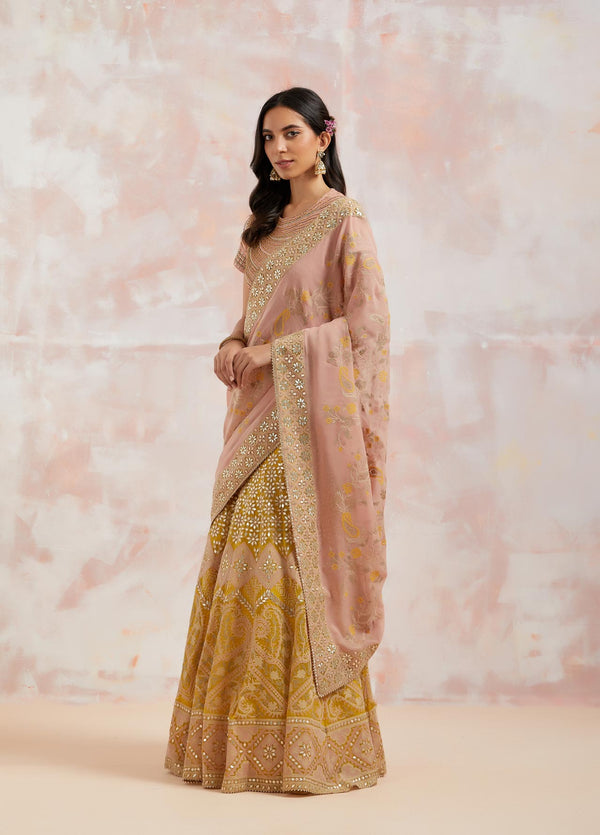 Nude Pink And Yellow Resham Embroidered Lehenga Saree Set