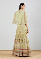 Sage Green Hand Embroidered Cape In With Gota Patti Embrodered Skirt