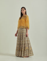 Mango Organza Hand Embroidered Cape With A Skirt