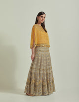 Mango Organza Hand Embroidered Cape With A Skirt