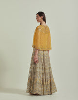 Mango Organza Hand Embroidered Cape With A Skirt