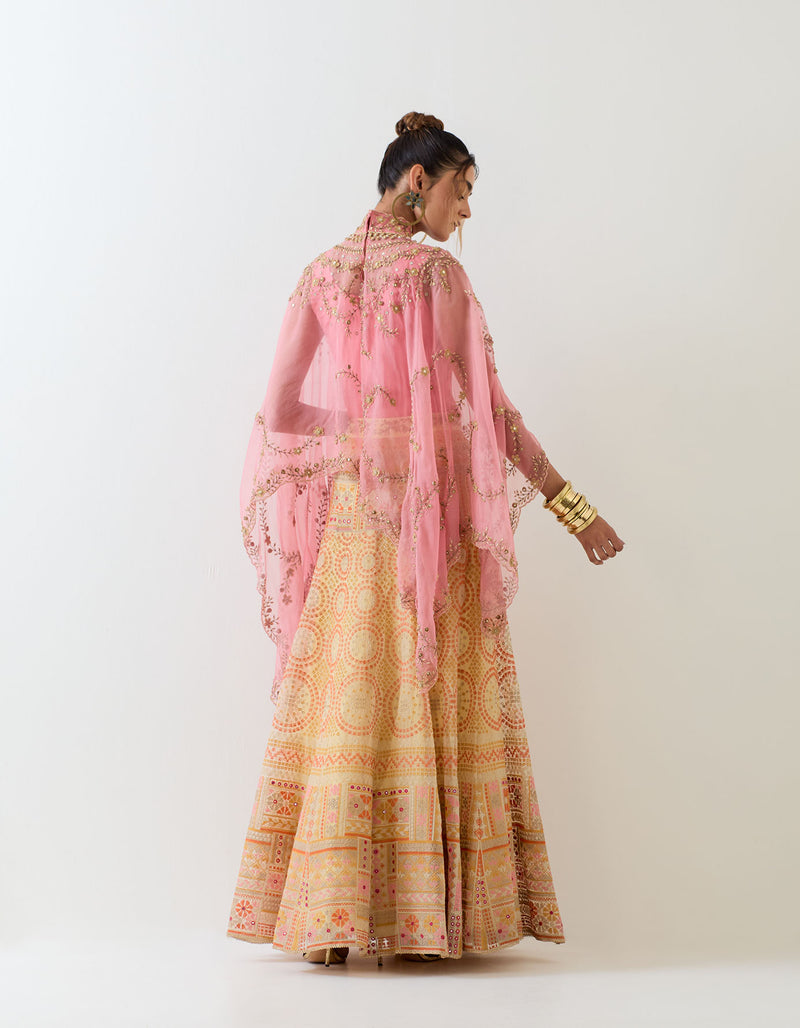 Salmon Pink With Yellow Cape & Skirt in Organza