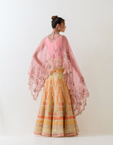 Salmon Pink With Yellow Cape With Skirt