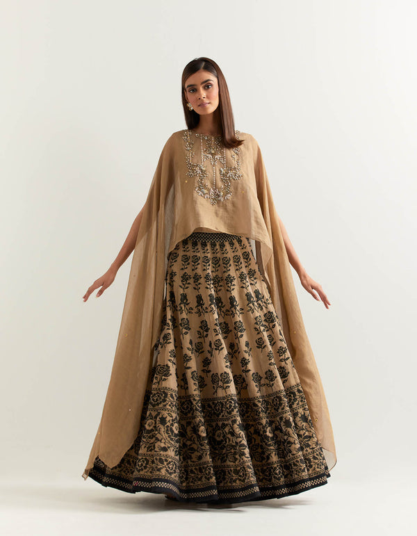 Black with Taupe Cape With Skirt In Tissue Chanderi