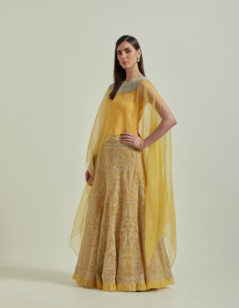 Yellow Organza Cape With a Skirt Set