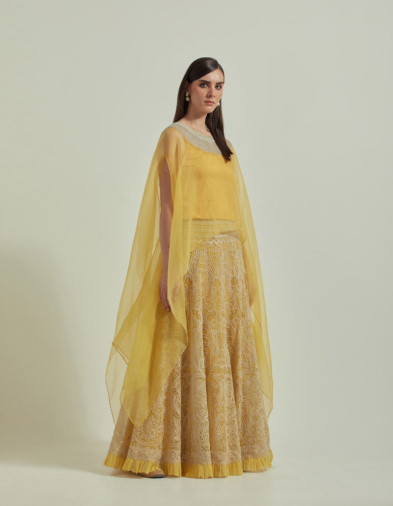 Yellow Organza Cape With a Skirt Set