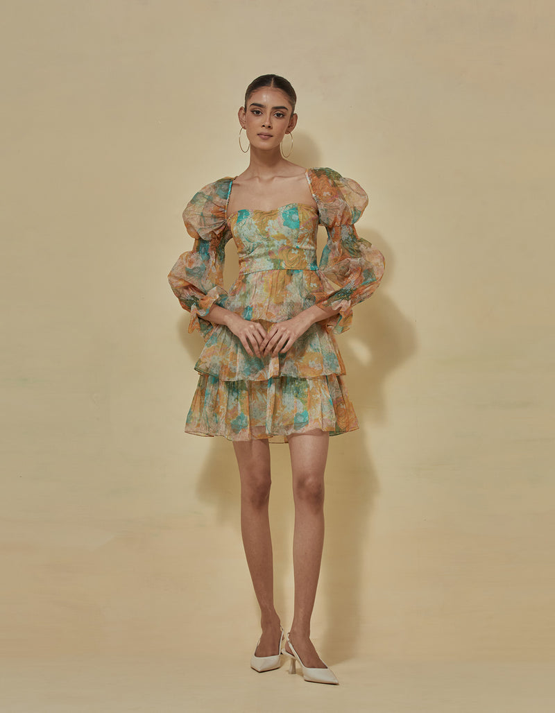 Baby Doll Printed Dress In Organza