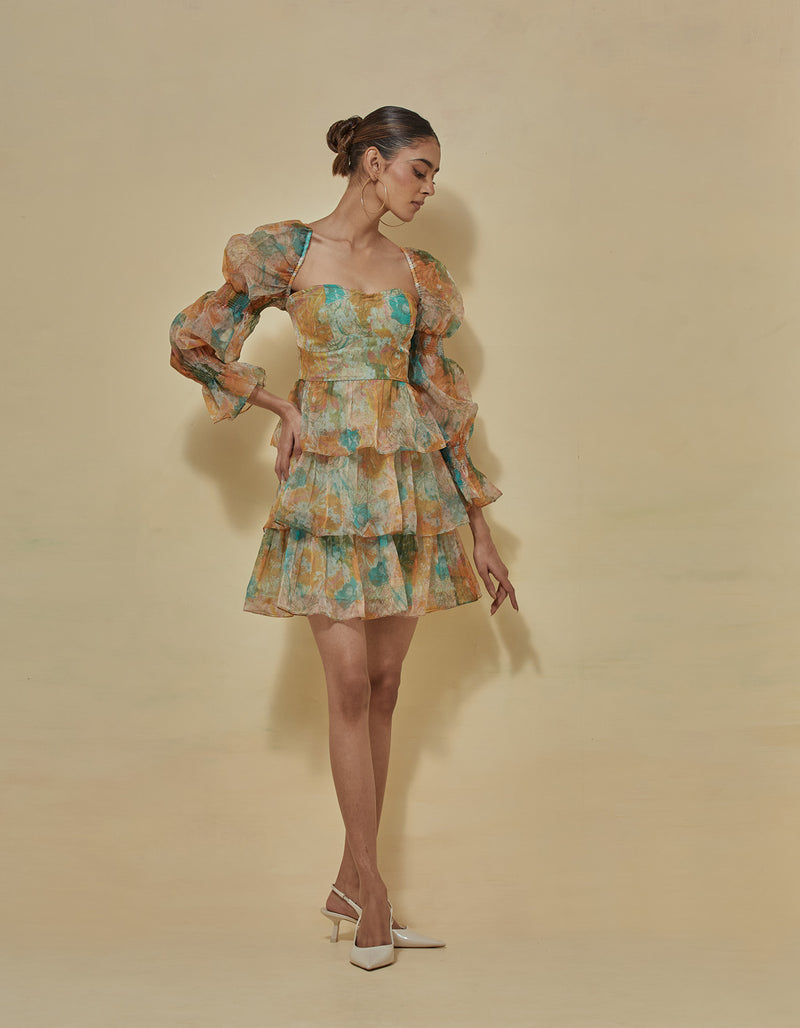 Baby Doll Printed Dress In Organza