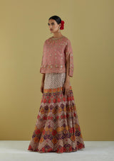 Salmon Pink Organza Hand Embroidered Cape With Skirt