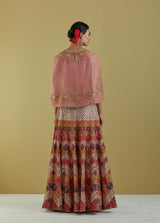 Salmon Pink Organza Hand Embroidered Cape With Skirt