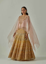 Pink/ Yellow Cape With Skirt