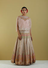 Pink Organza Hand Embroidered Cape With Skirt
