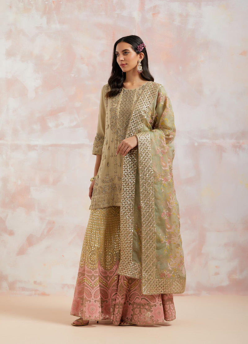 Pale Green Organza Embellished Sharara Set