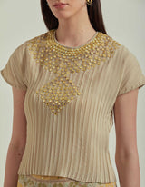 Taupe Crinkle Embellieshed Top With Silk Organza Skirt
